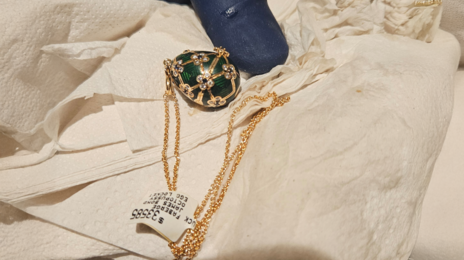 “화장실 갈 때마다 긴장”…3000만원 보석 삼킨 절도범 결국 6일만에