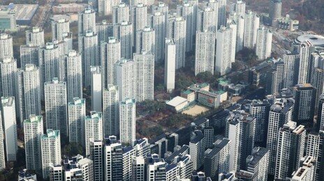 “제가 먼저 계약할게요”… 2030, 한 집 두고 ‘패닉 바잉’ 경쟁