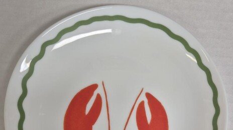 써브웨이 ‘랍스터 접시’서 1군 발암물질 카드뮴 기준치 초과 검출 “전량 회수”