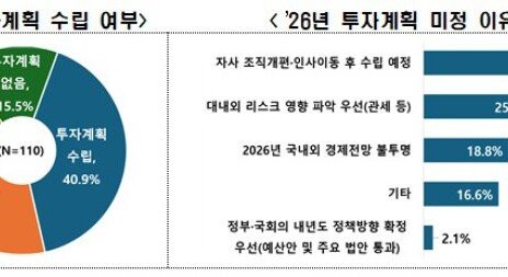 대기업 10곳 중 6곳, 내년 투자 계획 ‘없거나 미정’