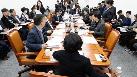 與 ‘허위정보 징벌손배법’, 국힘-조국당에 제동