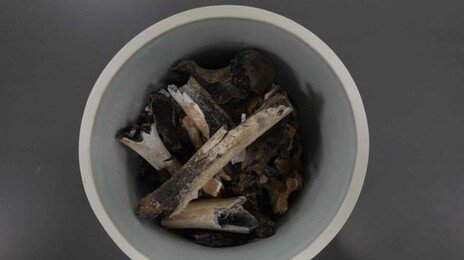 만삭 아내와 딸 남기고 떠난 6.25 호국영웅, 75년만에 유해 확인