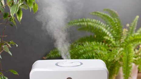 가습기, 독감 예방에 얼마나 효과 있나? 과학이 밝힌 진실