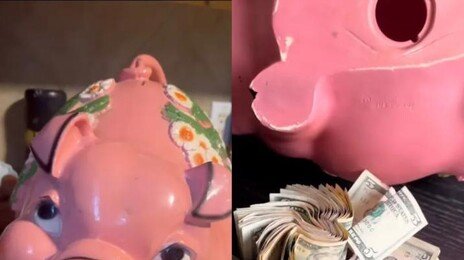 중고 돼지저금통 샀다가 ‘횡재’… 300만원 현금 뭉치 발견
