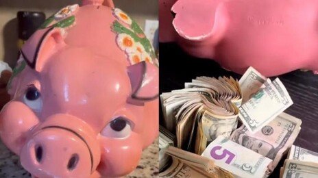 중고 돼지저금통 샀다가 ‘횡재’… 300만원 현금 뭉치 발견