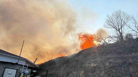 강원 양양서 산불…주택 인근 화재, 대나무밭으로 번진 듯