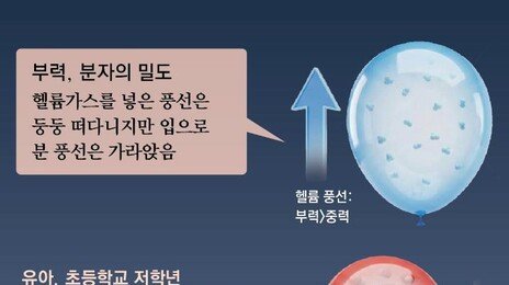 아이 과학 호기심 키우려면… “그것도 몰라?” 지적 멈추세요