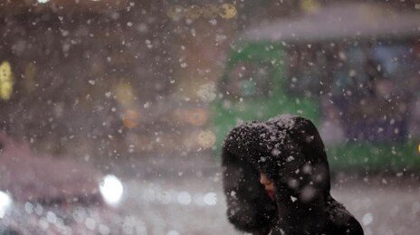 주말 수도권 최대 8㎝ 눈 예보… 무거운 습설 시설물 피해 조심