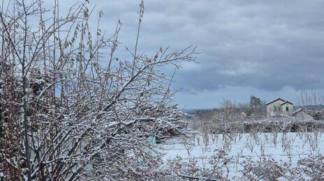 10㎝ 넘게 쌓인 강원에 또 눈…주말 서울도 최대 5㎝ 예보