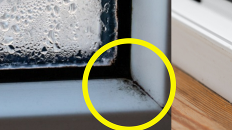 “팔 아프게 벅벅 NO!” 창문 곰팡이, 2000원으로 박멸 [알쓸톡]