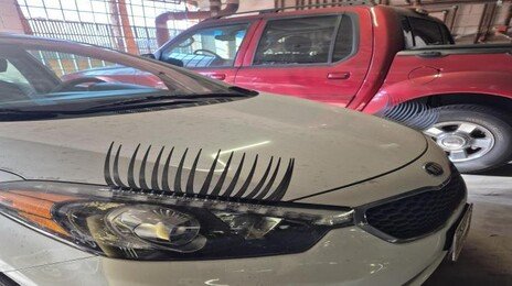 [고양이 눈]특별한 외출