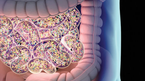 사람 몸에 사는 균의 총량은 2㎏으로 거의 일정
