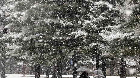 기상청 “수도권 비, 눈으로 바뀌어…밤까지 중부 내륙 많은 눈”