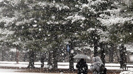 밤부터 눈 쏟아진다… 수도권 최대 7cm, 강원 10~15cm 예상