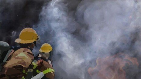 충남 당진 돈사서 불…비육돈 130마리 폐사