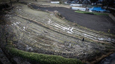‘친구’란 말에, 치매 아버지는 고향땅 800평을 팔았다