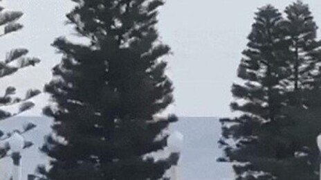 호주 시드니 본다이 해변서 총기 난사…10명 사망