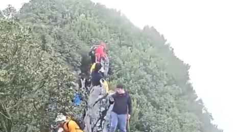 셀카 찍다 절벽서 15m 추락…나무에 걸려 ‘구사일생’