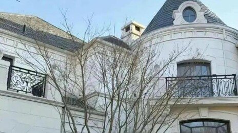 “재산 2조, 신붓감 구함…조건은 애국자” 中 남성 공개 구혼