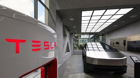 “완전자율주행 테스트” 머스크 트윗에…테슬라 주가 연중 최고