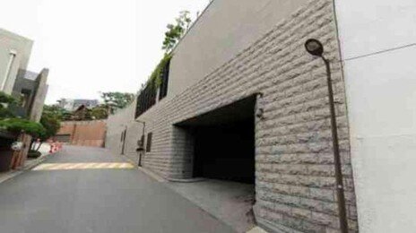 이명희 회장 한남동 자택, 공시가 313억…11년 연속 전국 최고가 단독주택