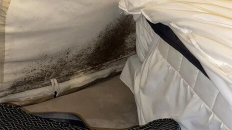 곰팡이로 새까맣게 뒤덮인 글램핑장…“짐 챙겨 나왔다”