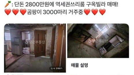 역세권 쓰리룸이 2800만원?…곰팡이 매물 논쟁 확산