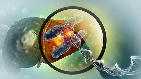 2m 길이 DNA, 몸속에 어떻게 들어 있을까… 3차원 지도 나왔다