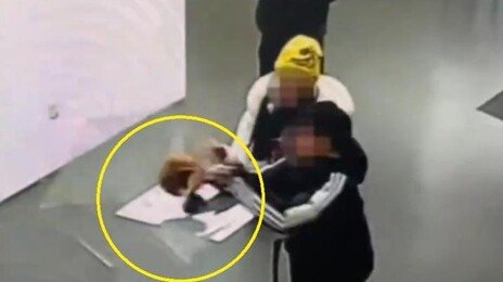 CCTV에 찍힌 ‘아찔한 순간’…아이 손에 떨어진 4억원대 황금 왕관