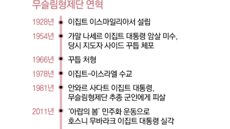 IS 사상 모태 ‘무슬림형제단’…“제재 필요” VS “갈등 증폭”