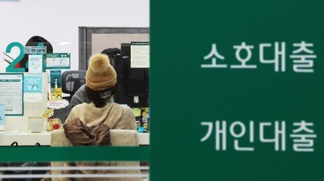 내년에도 가계대출 한파… 총량 2% 증가 그칠듯