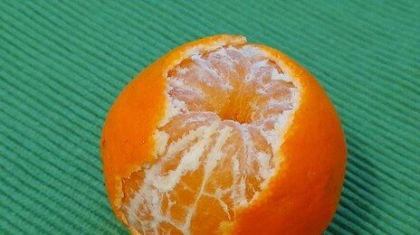 “주무르면 더 달콤해?”…진짜 ‘단맛’의 비밀 따로 있다 [알쓸톡]