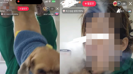 “담배 연기 뿜고 뒷다리 잡아당겨”…틱톡女 반려견 학대에 공분