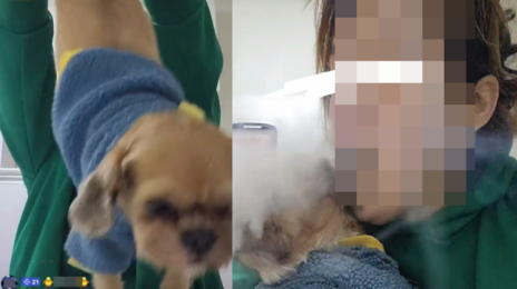 “담배 연기 뿜고 뒷다리 잡아당겨”…틱톡女 반려견 학대에 공분