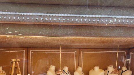 창문의 축제[뉴욕의 순간]