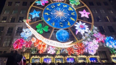 창문의 축제[뉴욕의 순간]