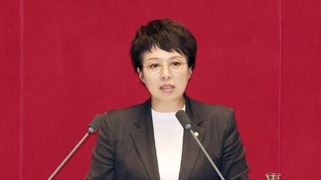 행안부, 12·29 여객기 참사 국정조사서 조사대상 제외 요청