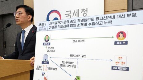외국 회사인척 달러 빼돌렸다…외환부당 유출 등 31곳 세무조사