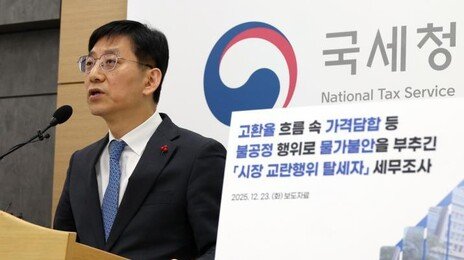 국세청도 환율잡기 칼뺐다… 달러 빼돌리기 등 31곳 세무조사