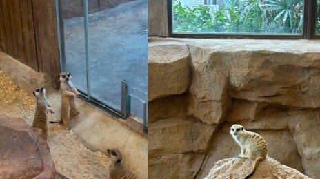 “아이보다 엄마가 더 신났다”…어른들 ‘인생샷’ 성지 된 홍콩 오션파크