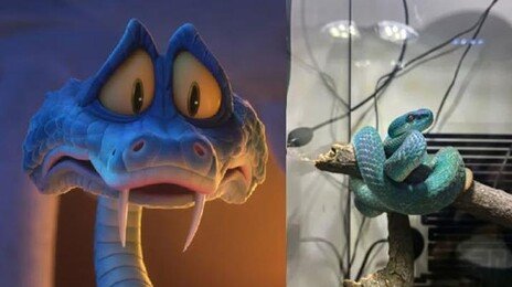 주토피아2 흥행에 中 ‘독사 키우기’ 열풍…손가락 절단 사고도