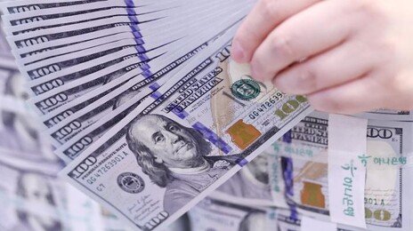 “달러 팔라” 압박에 재계 속앓이…“美공장도 증설해야 하는데”