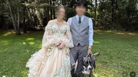 美서 4중 추돌, 한국인 신혼부부 사망-중태… “임신 중 태아도 위험”