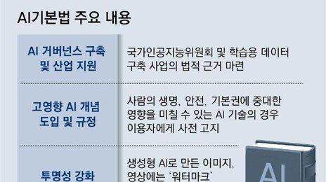 ‘AI기본법’ 시행 한달 앞… 정부 “기업규제 1년 유예”