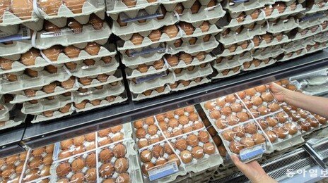 AI 확산 조짐에 달걀 가격 다시 강세…한판에 7000원대 유지