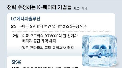 ‘혹한기’ K배터리, 자산 팔고 투자 계획 수정 등 잰걸음