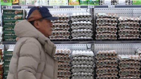 계란 한판 한달새 다시 7000원대… 불안한 ‘서민밥상’