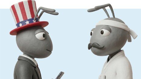 서학개미 유턴 딜레마…“강남집 팔고 지방 사라는 격”