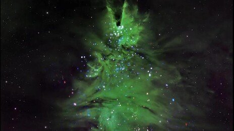 가장 큰 크리스마스 트리는?…폭 757조km ‘입이 쩍!’