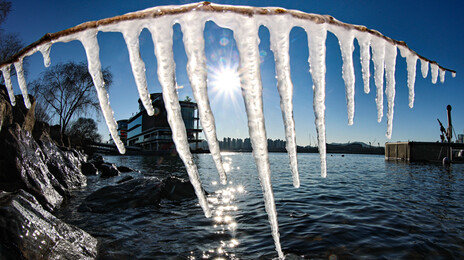 제트기류 뚫고온 북극 냉기… 기습적 극한 한파 자주 닥친다